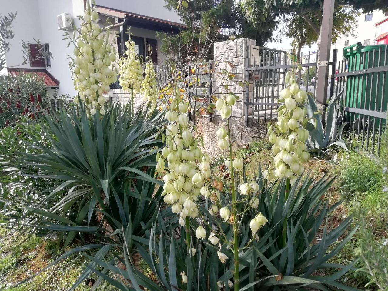 Apartments Liliana بولا المظهر الخارجي الصورة